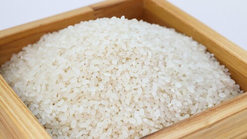 L'expérience du riz