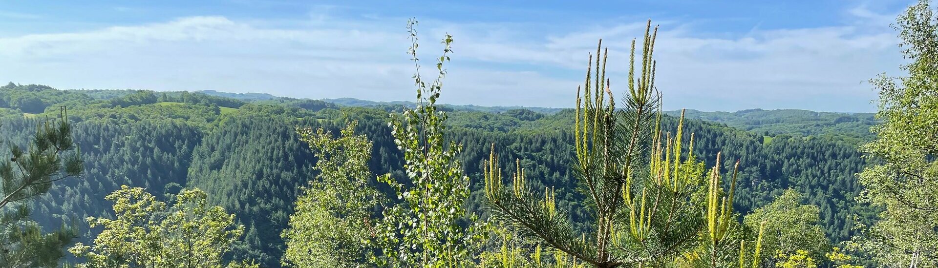 Domaine des 5 éléments - Correze